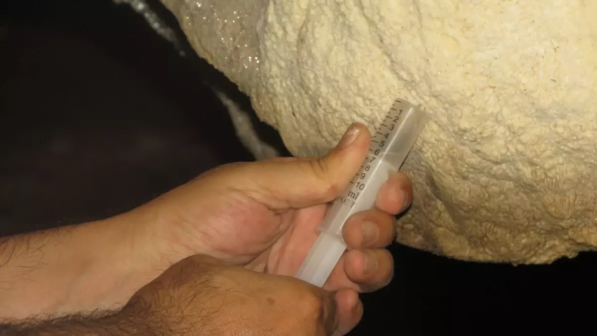 Türkiye’de İlk Defa ‘Ay Sütü’ Bakterisi Bulundu