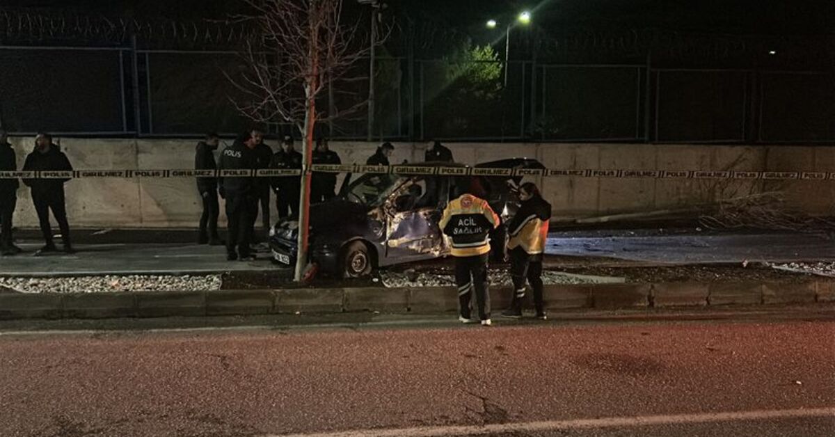 Sivas’ta ağaca çarpan otomobilin sürücüsü öldü